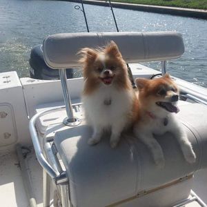 Meet your Posher, Laura